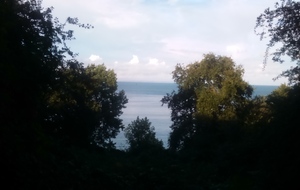 57f6cb9b666b9_DSC0626.JPG
